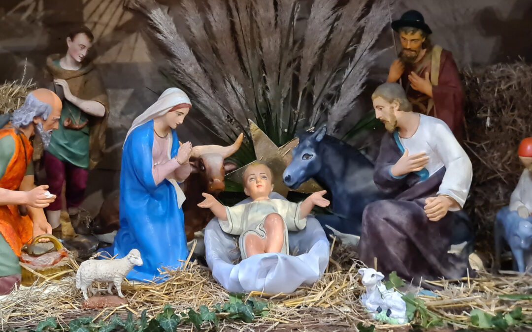 Pour les agriculteurs et leurs troupeaux !