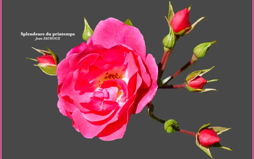 L’Espérance ne déçoit pas !