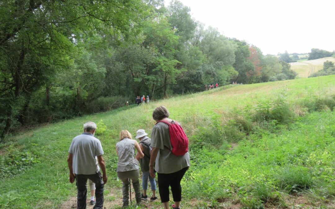 MARCHE SOLIDAIRE du samedi 12 juillet 2025 à SIEURAS