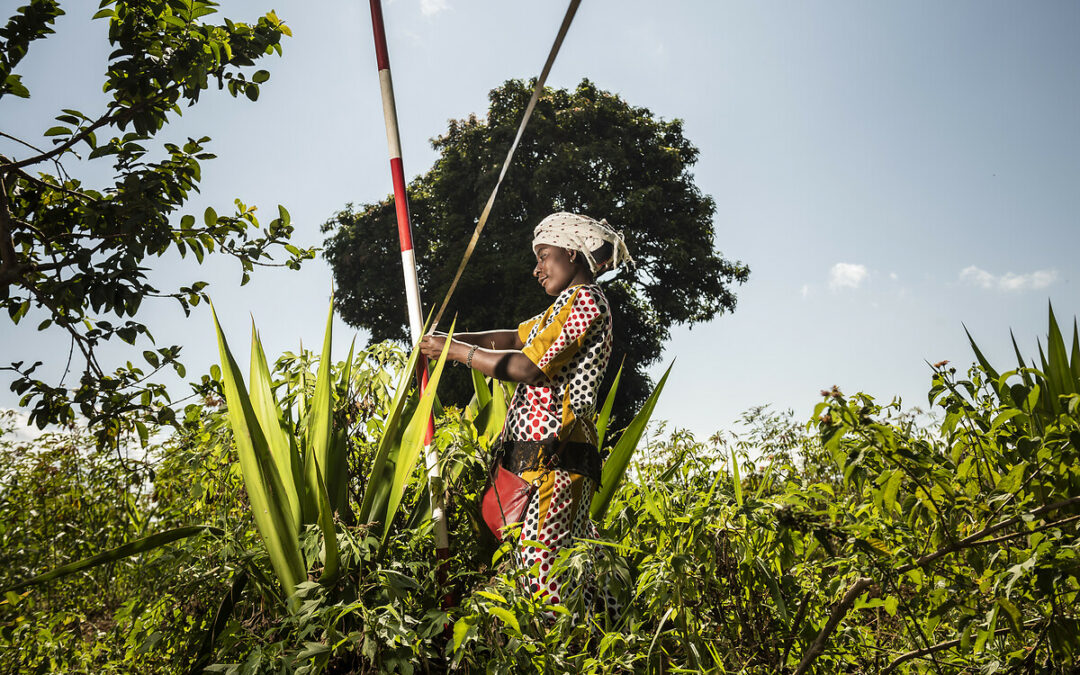 « Agir pour l’agriculture et la paix en RDC » : soirée à Lavelanet le 14 mars 2025