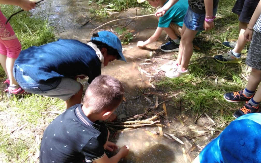 OH, de l’EAU -Découvrir la nature