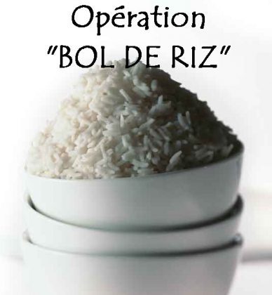 Résultat de l’opération bol de riz