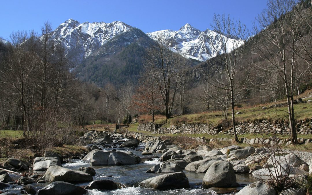 La randonnée en montagne, école de vie